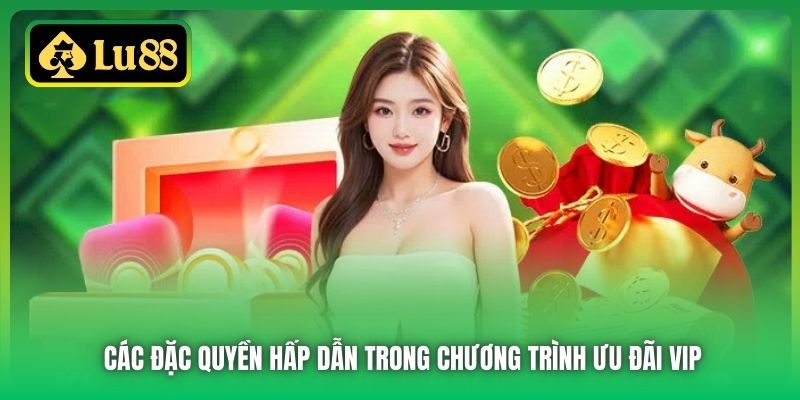Các đặc quyền hấp dẫn trong chương trình ưu đãi VIP
