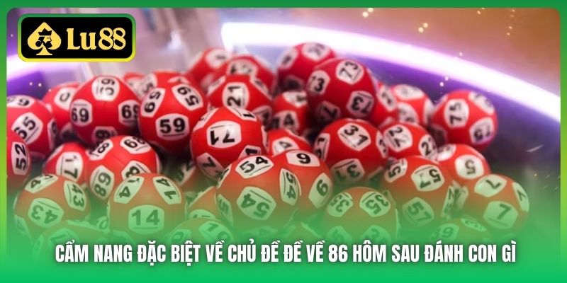 Cẩm nang đặc biệt về chủ đề đề về 86 hôm sau đánh con gì