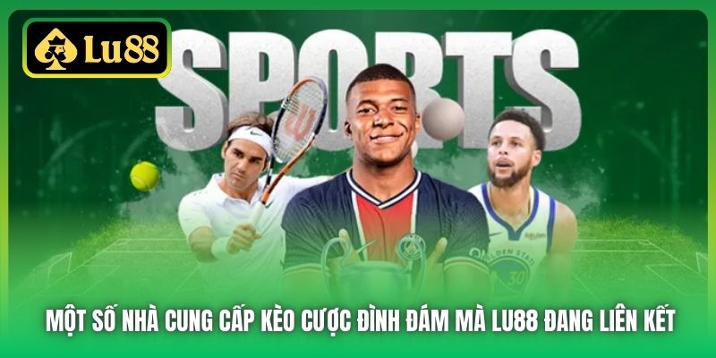 Một số nhà cung cấp kèo cược đình đám mà Lu88 đang liên kết