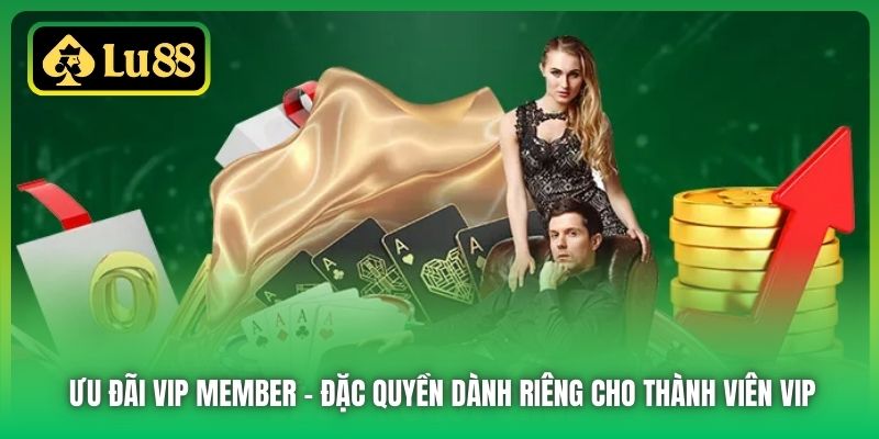 Ưu Đãi Vip Member | Đặc Quyền Dành Riêng Cho Thành Viên VIP