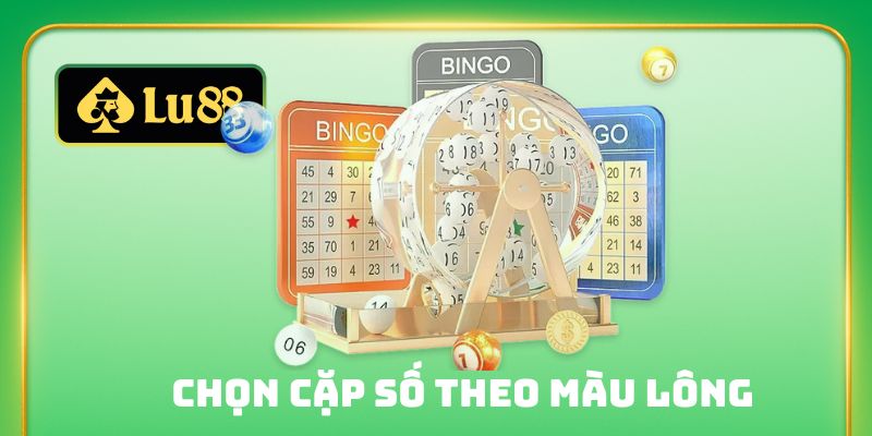 Chọn cặp số theo màu lông