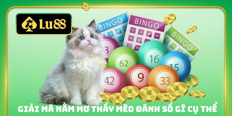Giải mã nằm mơ thấy mèo đánh số gì cụ thể