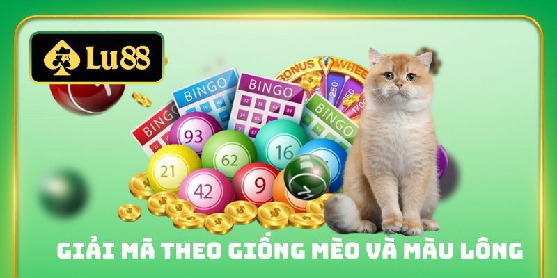 Giải mã theo giống mèo và màu lông
