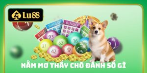 nằm mơ thấy chó đánh số gì