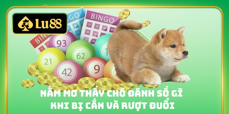 Nằm mơ thấy chó đánh số gì khi bị cắn và rượt đuổi