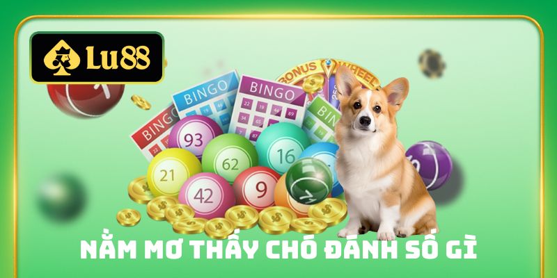 nằm mơ thấy chó đánh số gì