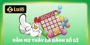 nằm mơ thấy gà đánh số gì