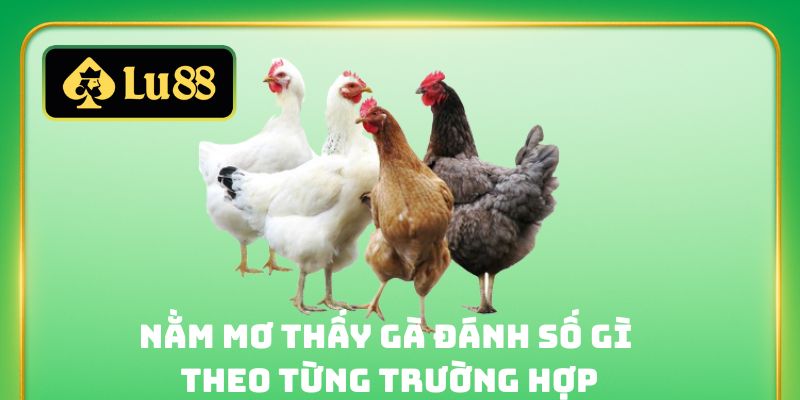 Nằm mơ thấy gà đánh số gì theo từng trường hợp
