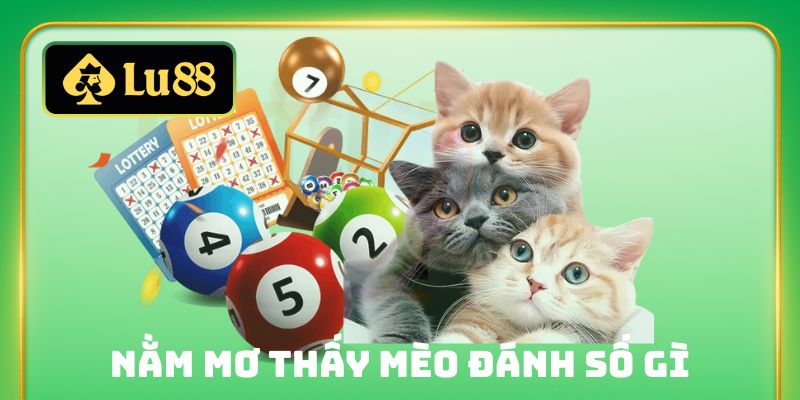 nằm mơ thấy mèo đánh số gì
