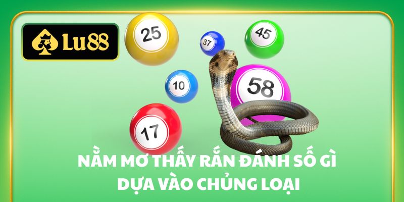 Nằm mơ thấy rắn đánh số gì dựa vào chủng loại