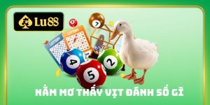 nằm mơ thấy vịt đánh số gì