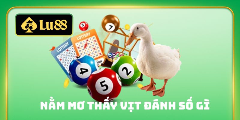 nằm mơ thấy vịt đánh số gì